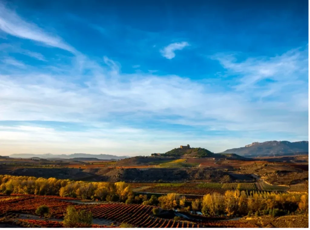 Vinhos Tintos de Rioja: Oportunidades no Mercado Brasileiro