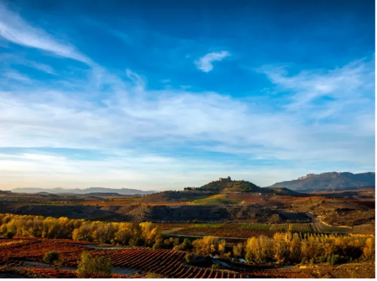 Vinhos Tintos de Rioja: Oportunidades no Mercado Brasileiro